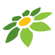LINK LUXORPLAY